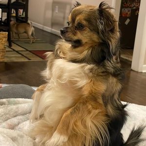 Meet your Posher, Laura